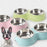 Double Pet Food Bowl Stainless Steel Drinkware