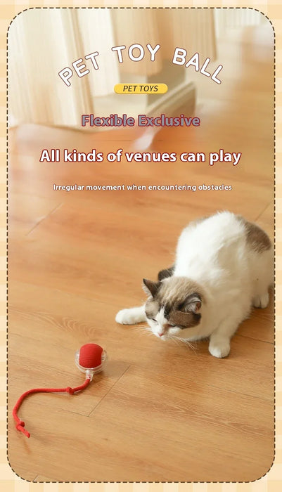 Smart Interactive Mouse Toy for Cats – Fun and Engaging Playtime"
"Pet Interactive Intelligent Mouse Toy – Keeps Cats Active and Entertained"
"Automatic Smart Cat Toy – Moving Mouse for Indoor Cats"
"Electronic Mouse Cat Toy – Stimulates Hunting Instincts"
"Rechargeable Interactive Mouse Toy for Cats – Realistic Movement