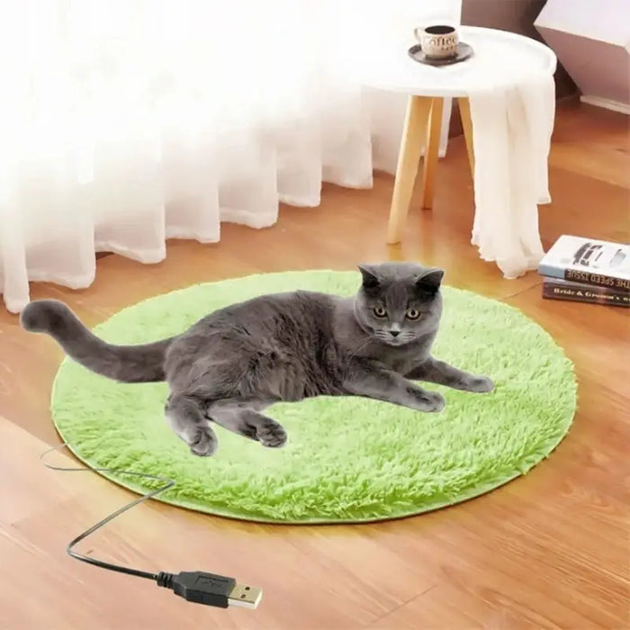 Pet Electric Blanket Plush Mat Sleeping Bed