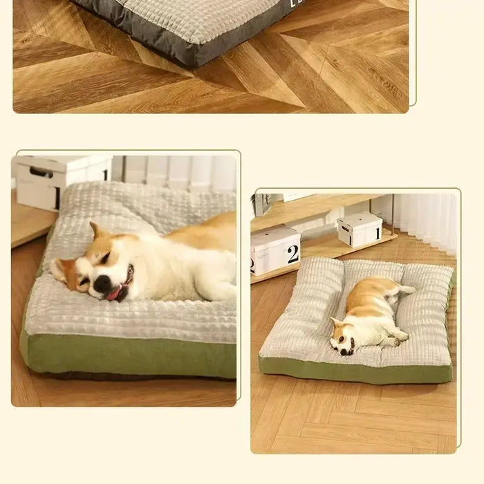 Dogs Sleeping Beds