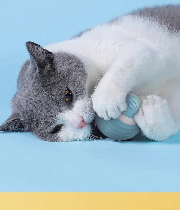 Gray and white cat hugging blue interactive rolling ball. Soft silicone texture makes it comfortable for cats to bite and play with.