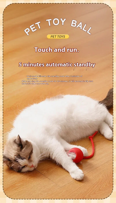 Smart Interactive Mouse Toy for Cats – Fun and Engaging Playtime"
"Pet Interactive Intelligent Mouse Toy – Keeps Cats Active and Entertained"
"Automatic Smart Cat Toy – Moving Mouse for Indoor Cats"
"Electronic Mouse Cat Toy – Stimulates Hunting Instincts"
"Rechargeable Interactive Mouse Toy for Cats – Realistic Movement