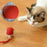 Interactive Cat Rolling Ball – Super Drive Motion for Endless Fun"
"Smart Cat Toy – Rolling Ball with Super Drive for Active Play"
"Rechargeable Rolling Ball Toy for Cats – Automatic Motion"
"Self-Moving Cat Ball Toy – Engaging and Fun for Indoor Cats"
"LED Interactive Cat Rolling Ball – Super Drive Technology"