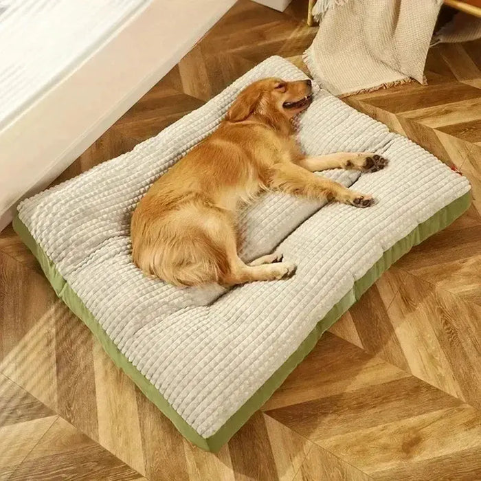 Dogs Sleeping Beds