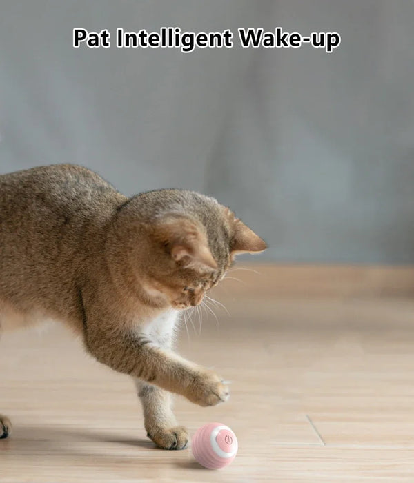 Cat tapping pink interactive rolling ball. Intelligent wake-up feature activates play with a simple pat, keeping cats engaged.