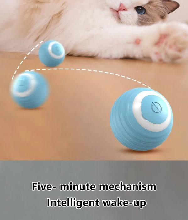 Blue interactive rolling ball bouncing on the floor. Five-minute intelligent wake-up mechanism keeps cats entertained for longer.