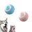 Surprised cat and dog reacting to blue and pink electronic interactive rolling balls. Fun and engaging toy for pets of all kinds.