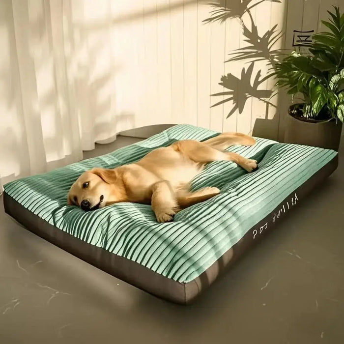 Dogs Sleeping Beds