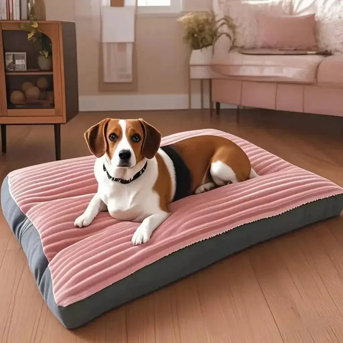 Dogs Sleeping Beds