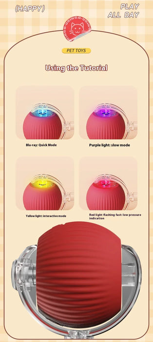 Smart Interactive Mouse Toy for Cats – Fun and Engaging Playtime"
"Pet Interactive Intelligent Mouse Toy – Keeps Cats Active and Entertained"
"Automatic Smart Cat Toy – Moving Mouse for Indoor Cats"
"Electronic Mouse Cat Toy – Stimulates Hunting Instincts"
"Rechargeable Interactive Mouse Toy for Cats – Realistic Movement