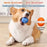 "Automatic Rolling Ball for Pets – Keeps Cats & Dogs Entertained"
"Smart Pet Toy – Self-Rolling & Bouncing Ball for Indoor Play"
"Electronic Interactive Ball – Fun & Engaging for Active Pets"
"USB Rechargeable Smart Ball – Bouncing & Rolling Action"
"Pet-Friendly Automatic Ball – Durable & Safe for Playtime"