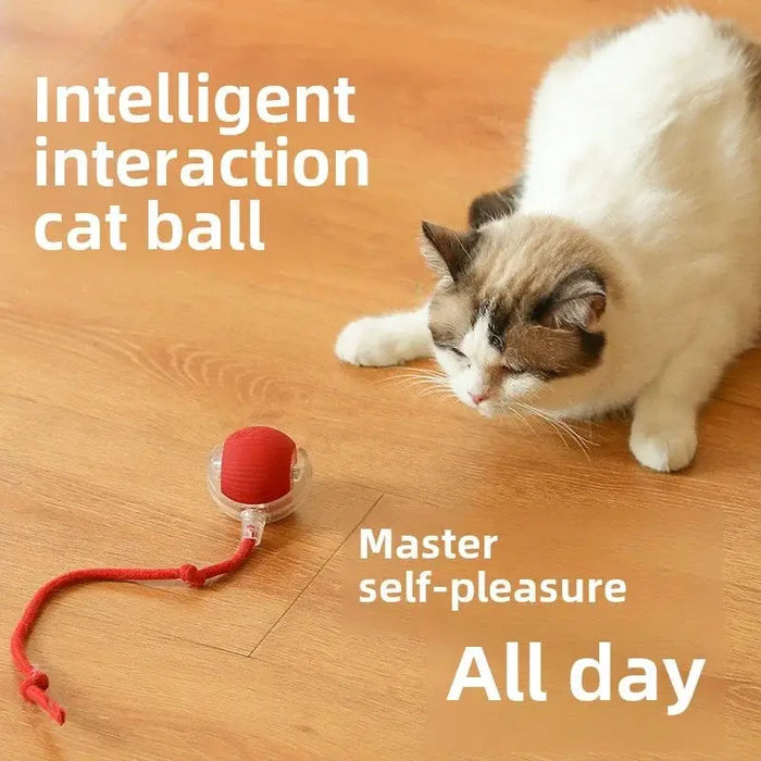 Cats Toy Automatic Rolling Fake Tail Ball