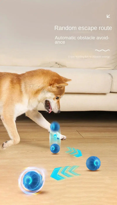 "Automatic Rolling Ball for Pets – Keeps Cats & Dogs Entertained"
"Smart Pet Toy – Self-Rolling & Bouncing Ball for Indoor Play"
"Electronic Interactive Ball – Fun & Engaging for Active Pets"
"USB Rechargeable Smart Ball – Bouncing & Rolling Action"
"Pet-Friendly Automatic Ball – Durable & Safe for Playtime"