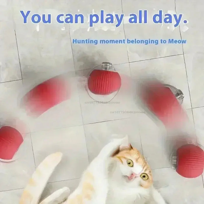 Dog Cat Training Imitate Mouse