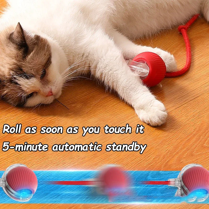 Smart Interactive Mouse Toy for Cats – Fun and Engaging Playtime"
"Pet Interactive Intelligent Mouse Toy – Keeps Cats Active and Entertained"
"Automatic Smart Cat Toy – Moving Mouse for Indoor Cats"
"Electronic Mouse Cat Toy – Stimulates Hunting Instincts"
"Rechargeable Interactive Mouse Toy for Cats – Realistic Movement