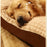 Warm Dogs Sleeping Bed