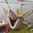Pet Hammock Double-layer