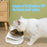 Stand Cats Feeder Feeding Bowl