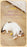 Interactive Cat Rolling Ball – Super Drive Motion for Endless Fun"
"Smart Cat Toy – Rolling Ball with Super Drive for Active Play"
"Rechargeable Rolling Ball Toy for Cats – Automatic Motion"
"Self-Moving Cat Ball Toy – Engaging and Fun for Indoor Cats"
"LED Interactive Cat Rolling Ball – Super Drive Technology"