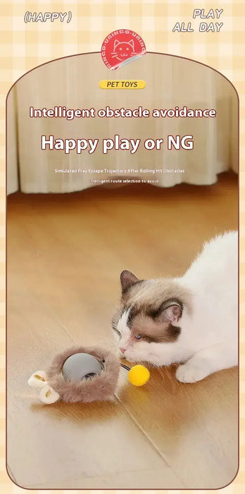 Interactive Cat Rolling Ball – Super Drive Motion for Endless Fun"
"Smart Cat Toy – Rolling Ball with Super Drive for Active Play"
"Rechargeable Rolling Ball Toy for Cats – Automatic Motion"
"Self-Moving Cat Ball Toy – Engaging and Fun for Indoor Cats"
"LED Interactive Cat Rolling Ball – Super Drive Technology"