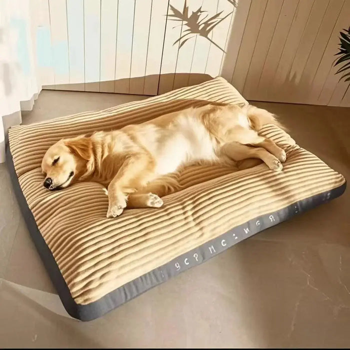 Dogs Sleeping Beds