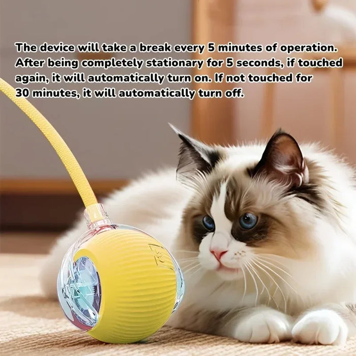 Smart Interactive Mouse Toy for Cats – Fun and Engaging Playtime"
"Pet Interactive Intelligent Mouse Toy – Keeps Cats Active and Entertained"
"Automatic Smart Cat Toy – Moving Mouse for Indoor Cats"
"Electronic Mouse Cat Toy – Stimulates Hunting Instincts"
"Rechargeable Interactive Mouse Toy for Cats – Realistic Movement