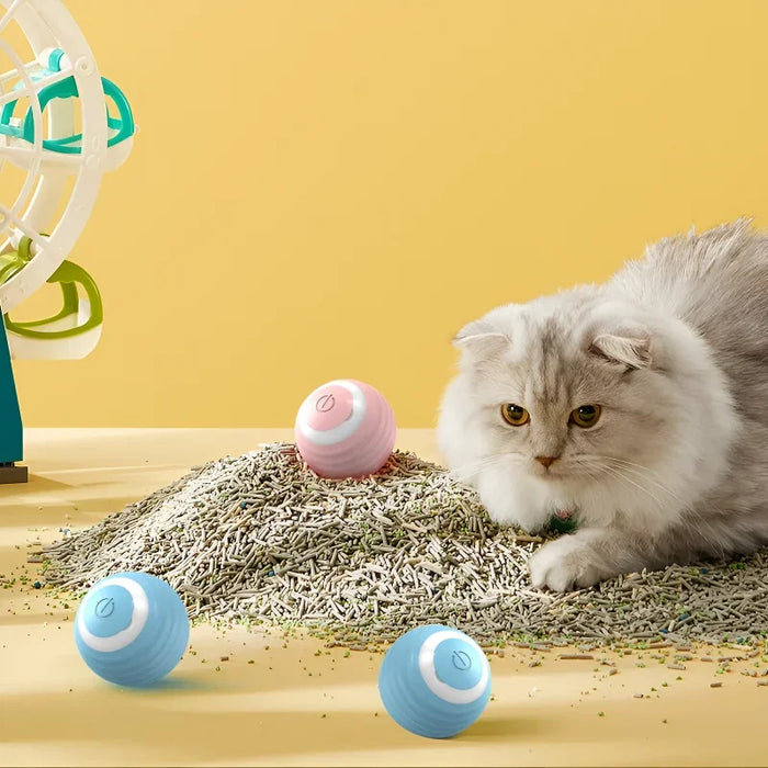 Fluffy cat observing blue and pink electronic interactive rolling balls on a pile of catnip. Stimulating and fun toy for feline entertainment.