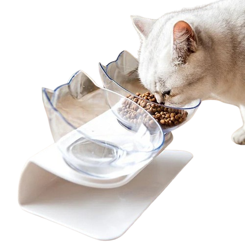 PET DOUBLE FEEDING BOWL