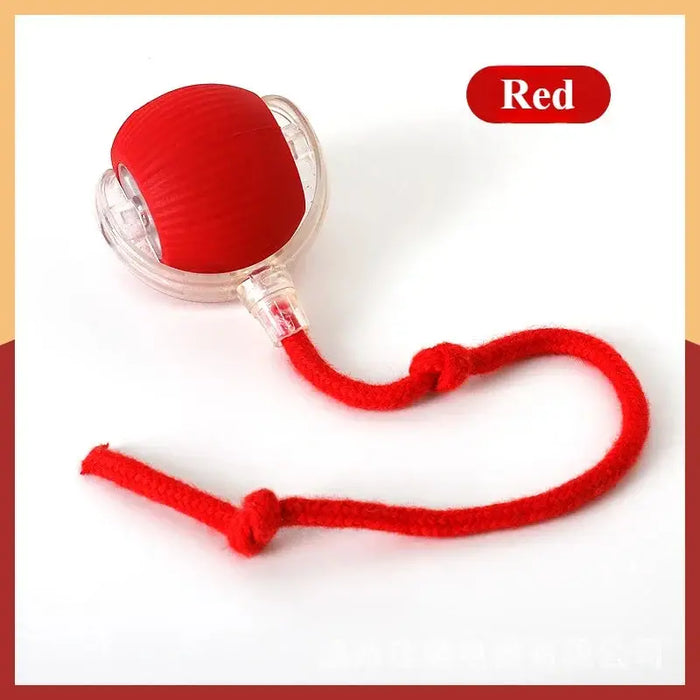 Cats Toy Automatic Rolling Fake Tail Ball